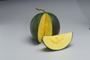 网红吃瓜出售信息,揭秘热门事件背后的秘密与商机