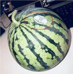 网红吃瓜排行榜,揭秘热门事件背后的明星动态