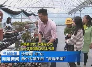 吃瓜最新事件泰州新闻网,揭秘近期热点事件，吃瓜群众聚焦焦点