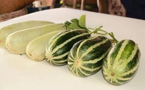 网红免费吃瓜,揭秘网络红人幕后福利